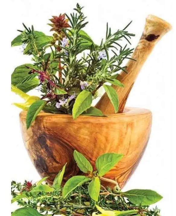 Ayurvedic Medicine are for everyone